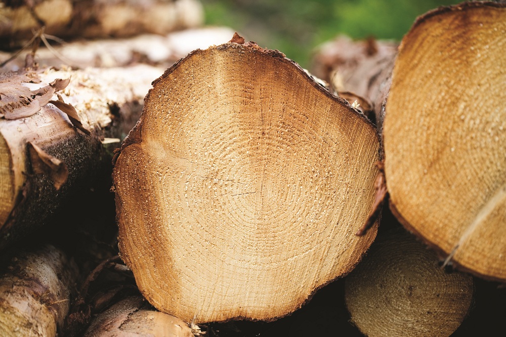Защита торцов древесины